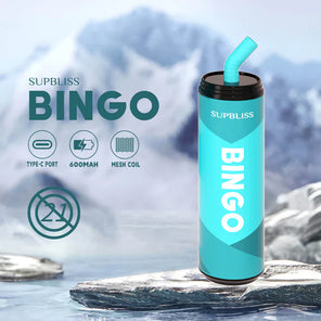 SUPBLISS BINGO 9000 Batterie